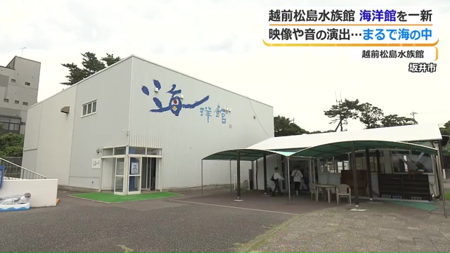 リニューアルした海洋館