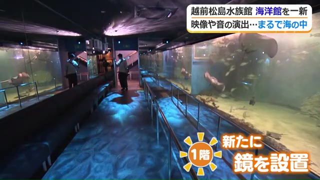1階の大水槽前には鏡が設置され没入感アップ