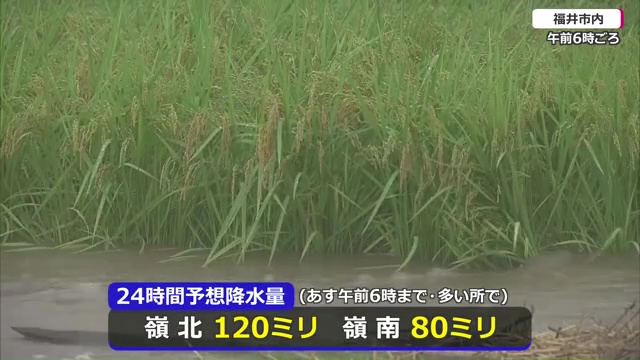 予想24時間降水量