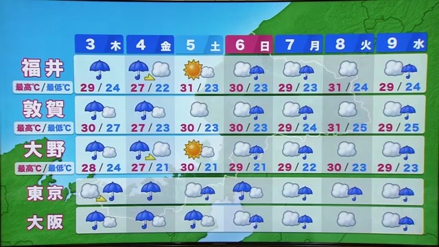 週間予報