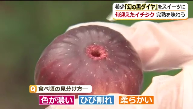 完熟した状態で収穫