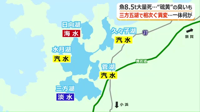 塩分濃度が異なる5つの湖からなる三方五湖