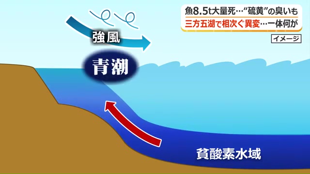 青潮が発生するメカニズム