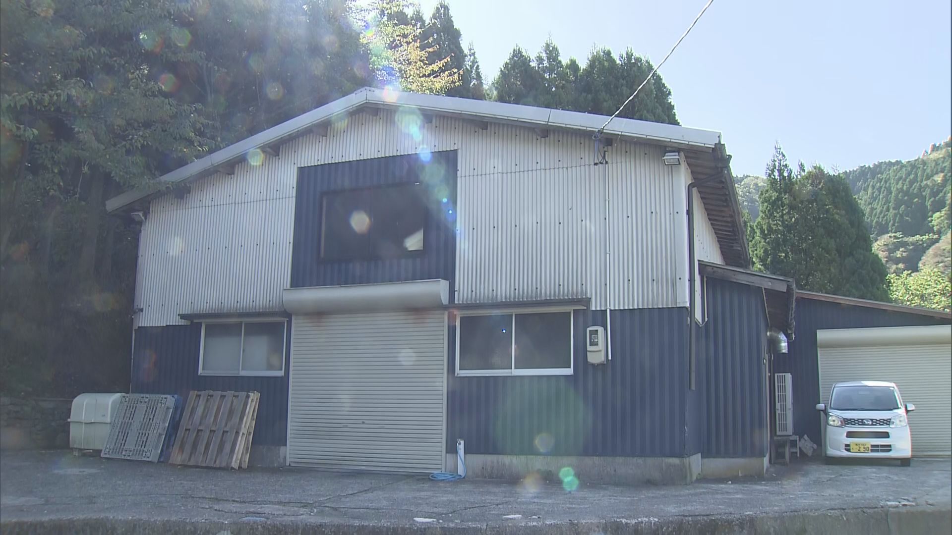 青森県動物愛護センターの真相｜譲渡条件と殺処分の今【2026最新】
