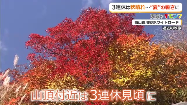 白山白川郷ホワイトロードの紅葉(過去の様子)
