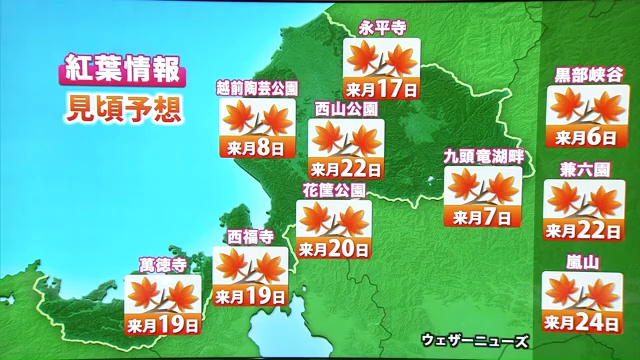 福井県内の紅葉スポットの見頃予想