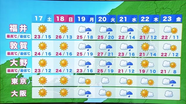 週間予報