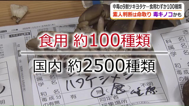 見分けられないキノコは口に入れないこと