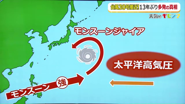 モンスーンジャイヤとは