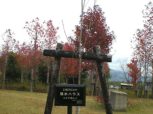 エコ桜プロジェクト