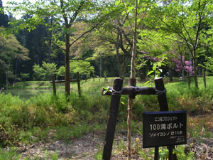 エコ桜プロジェクト