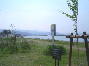 エコ桜プロジェクト