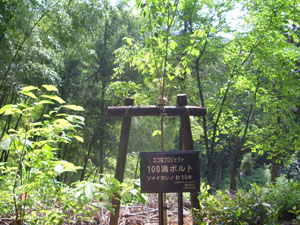 エコ桜プロジェクト