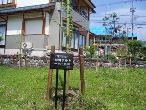 エコ桜プロジェクト