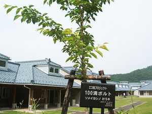 エコ桜プロジェクト