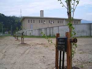 エコ桜プロジェクト