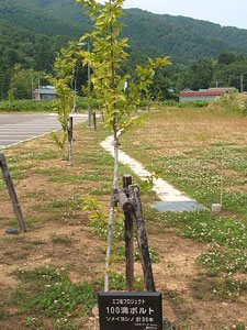 エコ桜プロジェクト