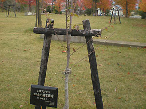 エコ桜プロジェクト