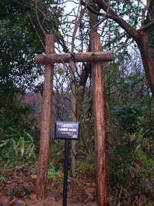 エコ桜プロジェクト