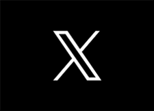 公式X