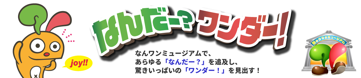 なんだー？ワンダー！