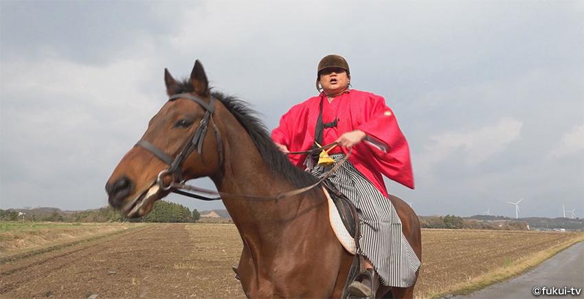 日本全国福むすび 新春スペシャル 今年は午年 うまむすびでうまくいく！